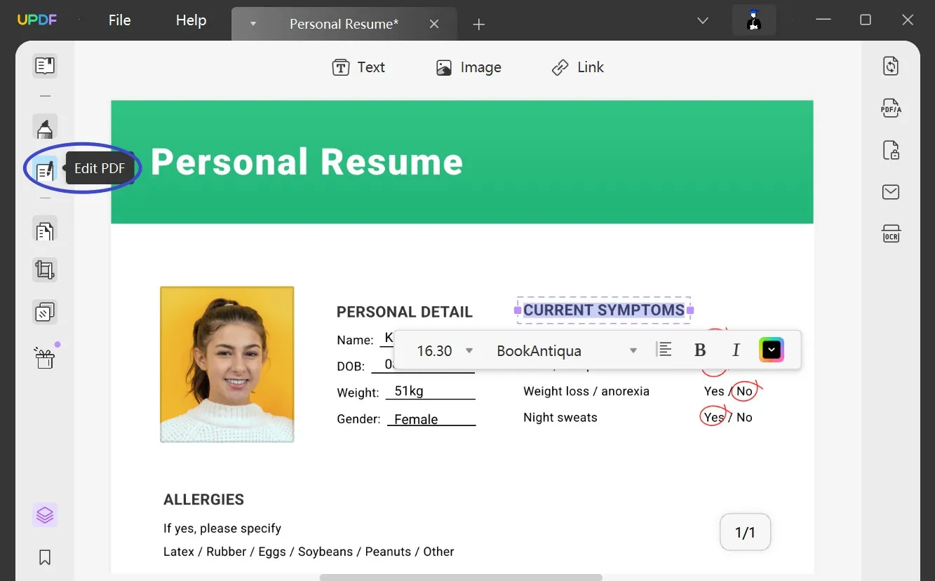 blank resume pdf edit resume