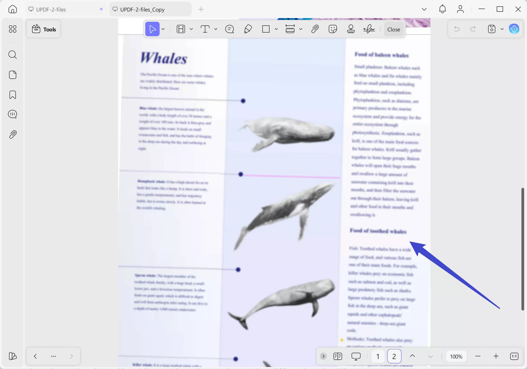 blurred pdf updf windows