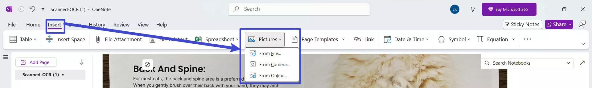 onenote open image