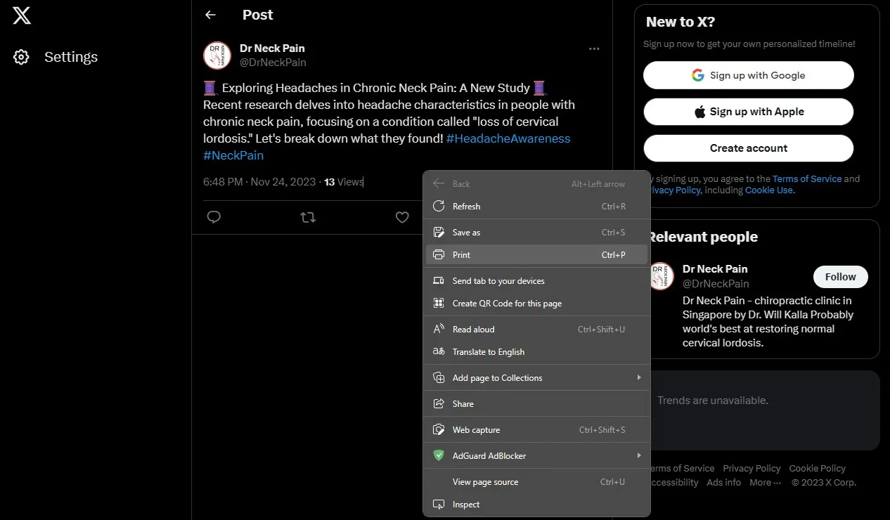 twitter thread to pdf print