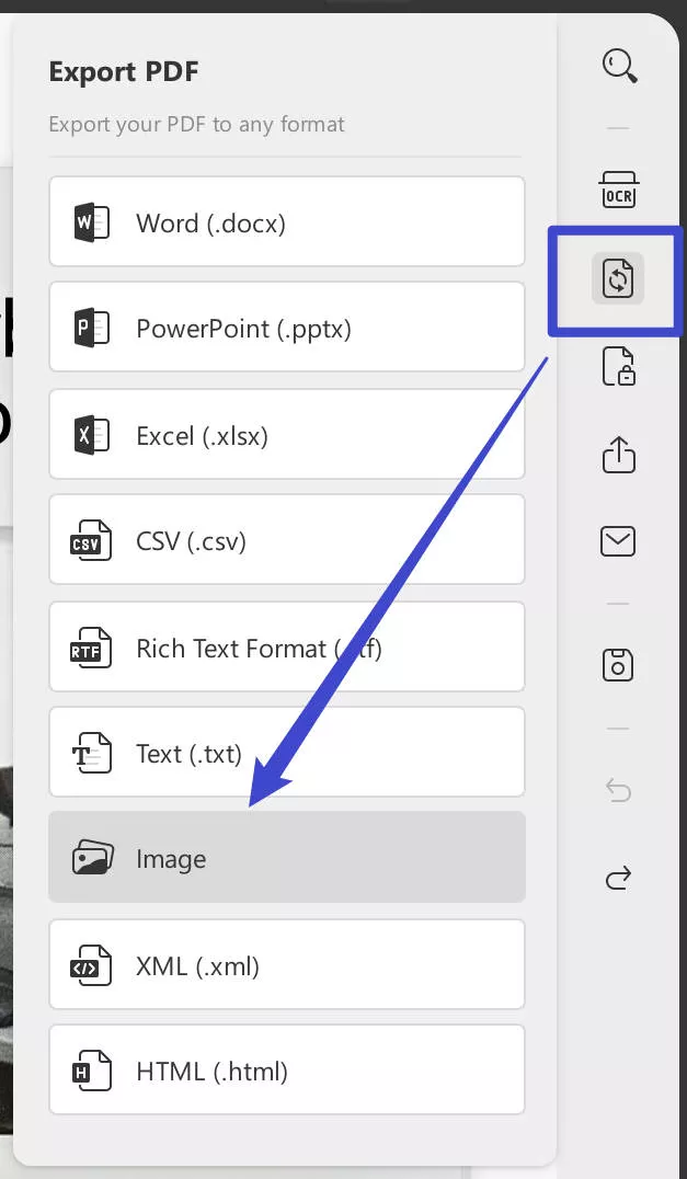convert the translated PDF to image