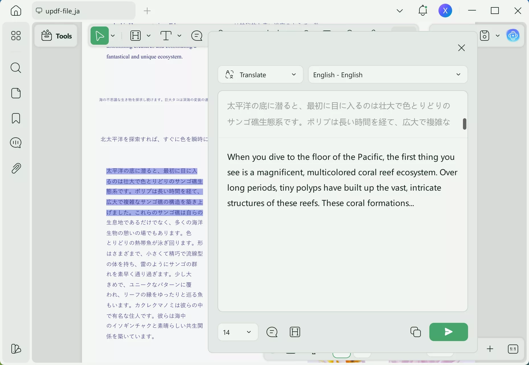 japanese to english translation photo updf ai