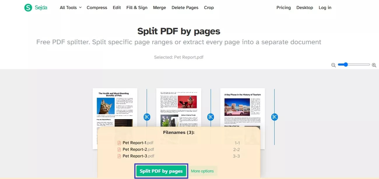 split by page successfully