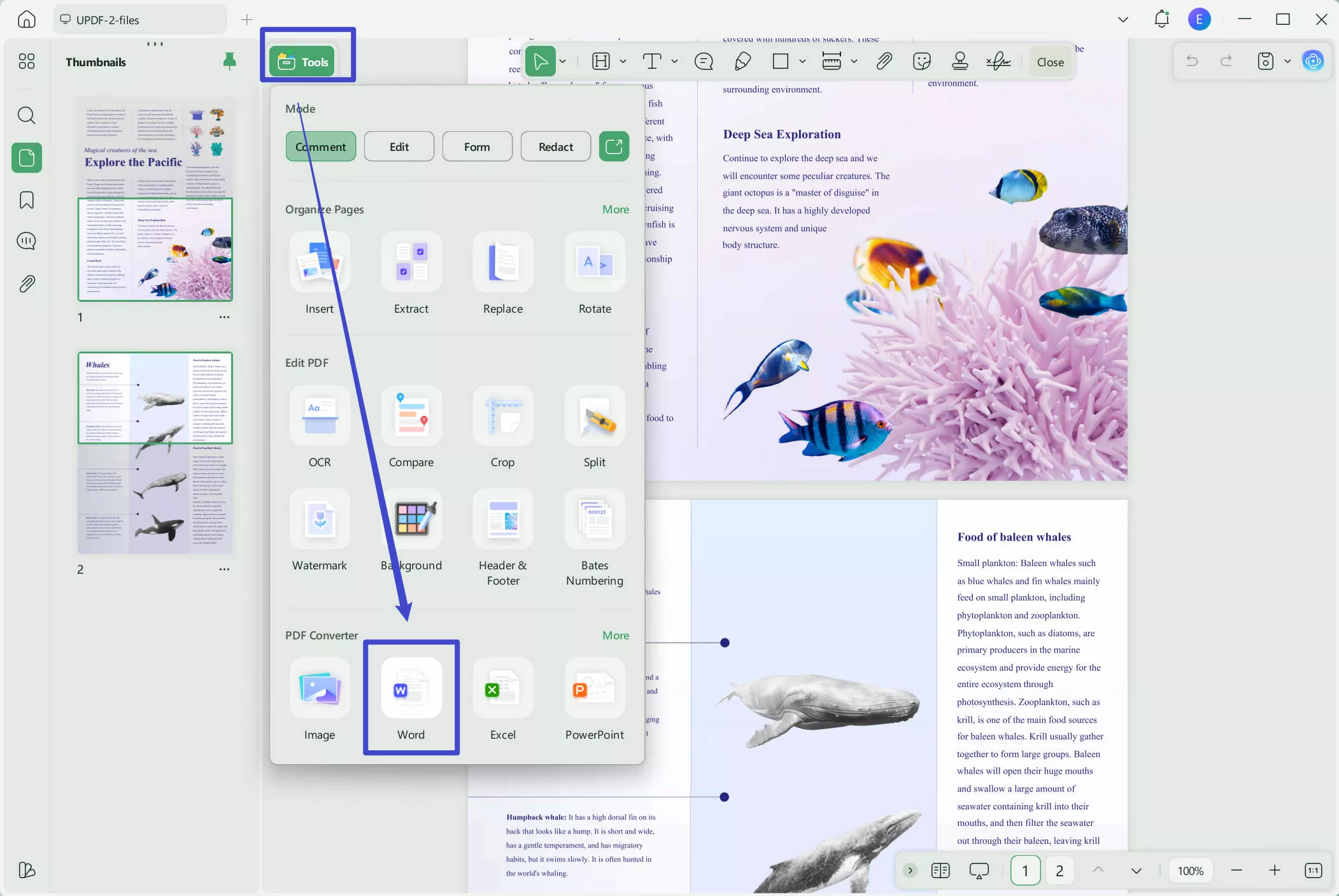 PDF to Word batch ocr
