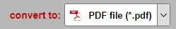 pptm to pdf Output Format