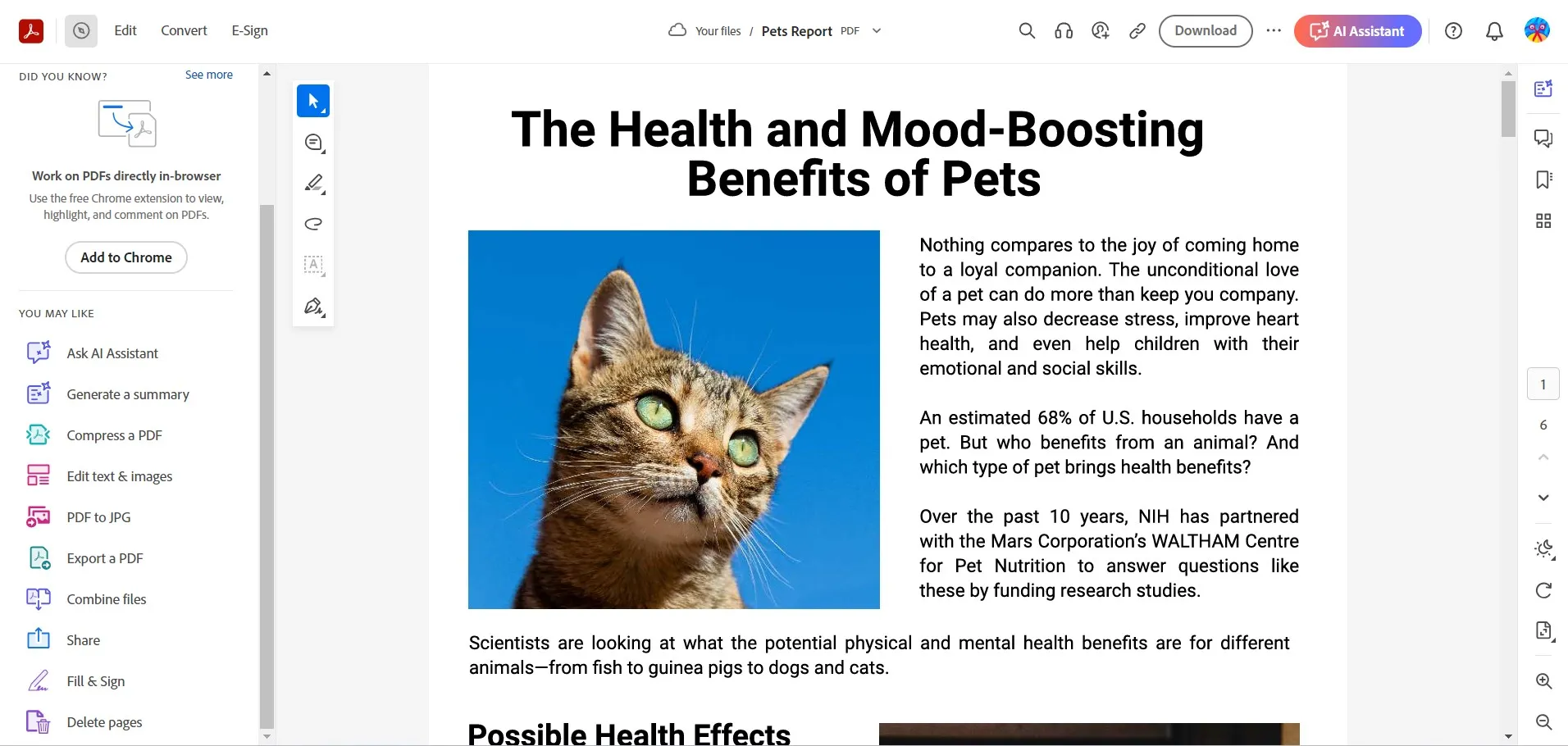 pdf image editor Adobe
