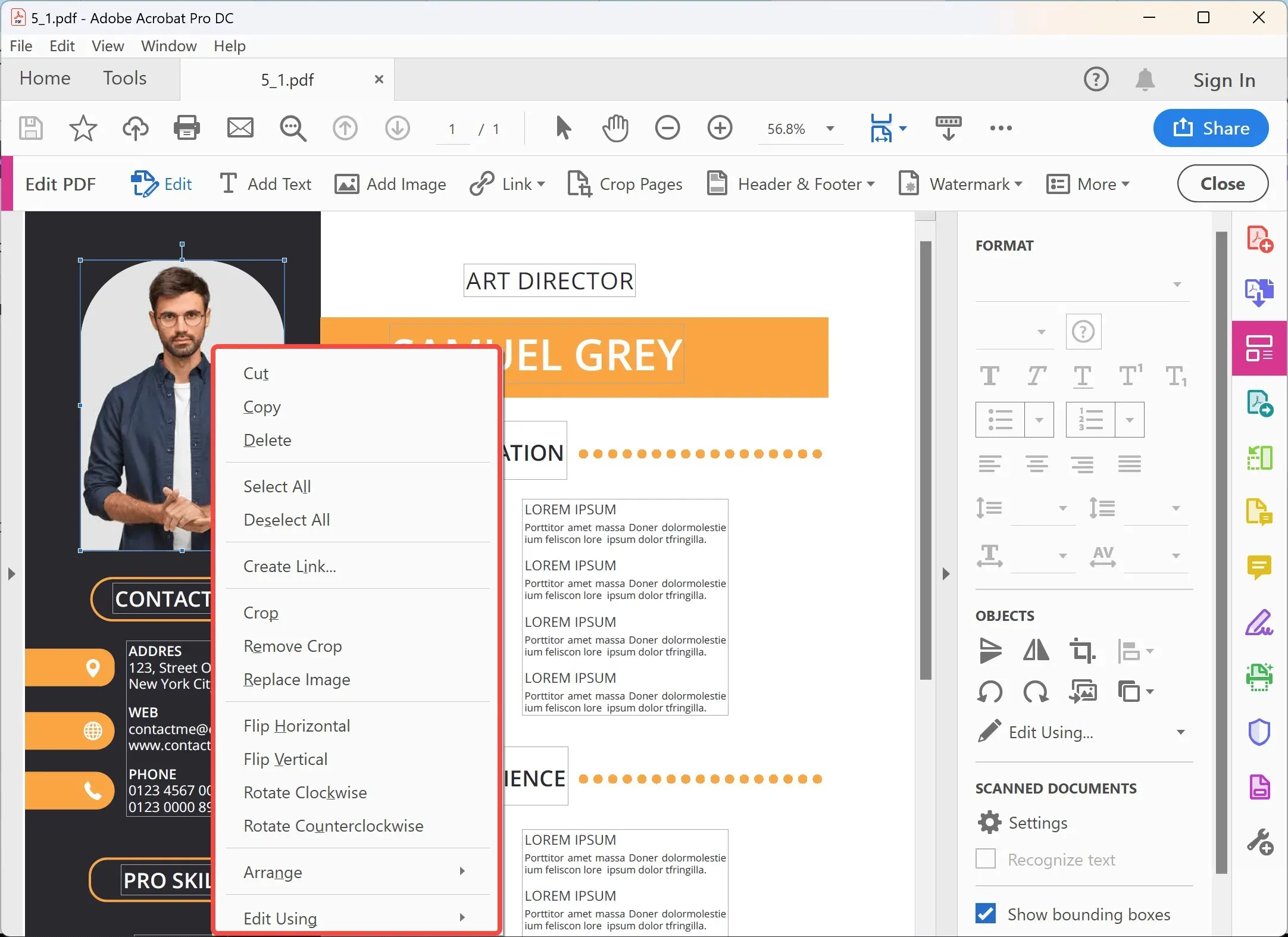 pdf image editor Adobe