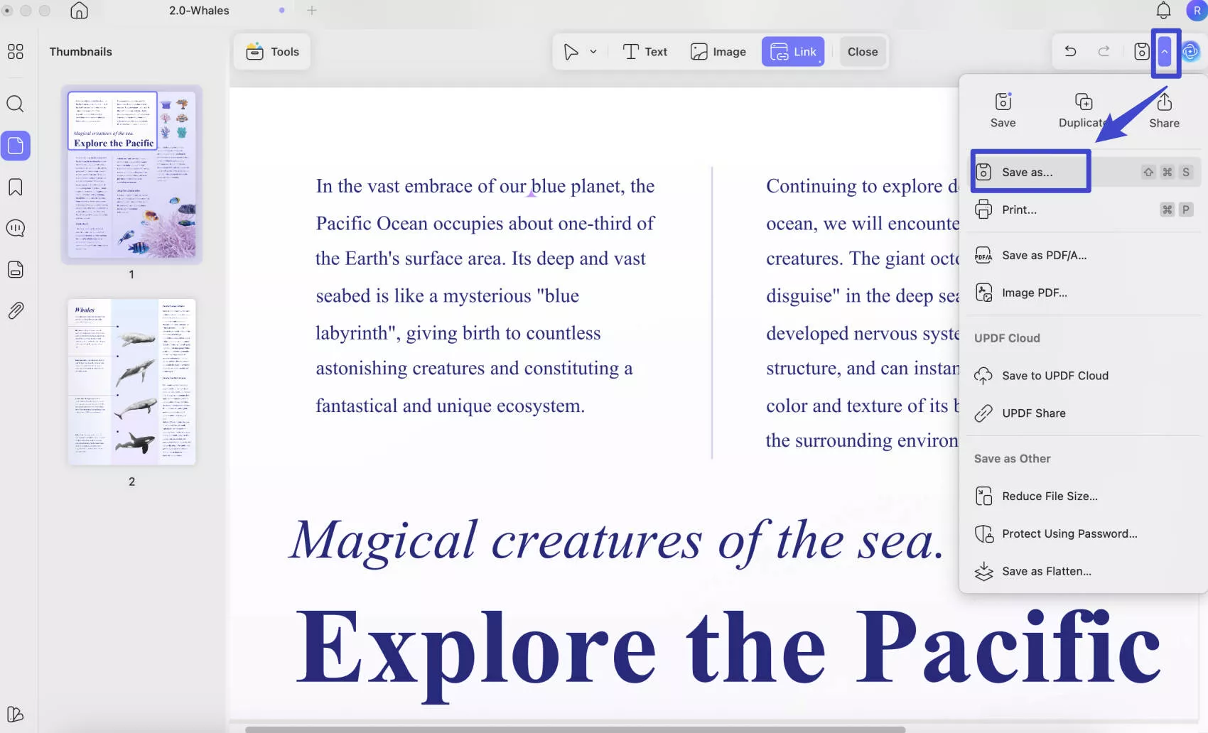 screenshot to pdf mac select the save or save as option