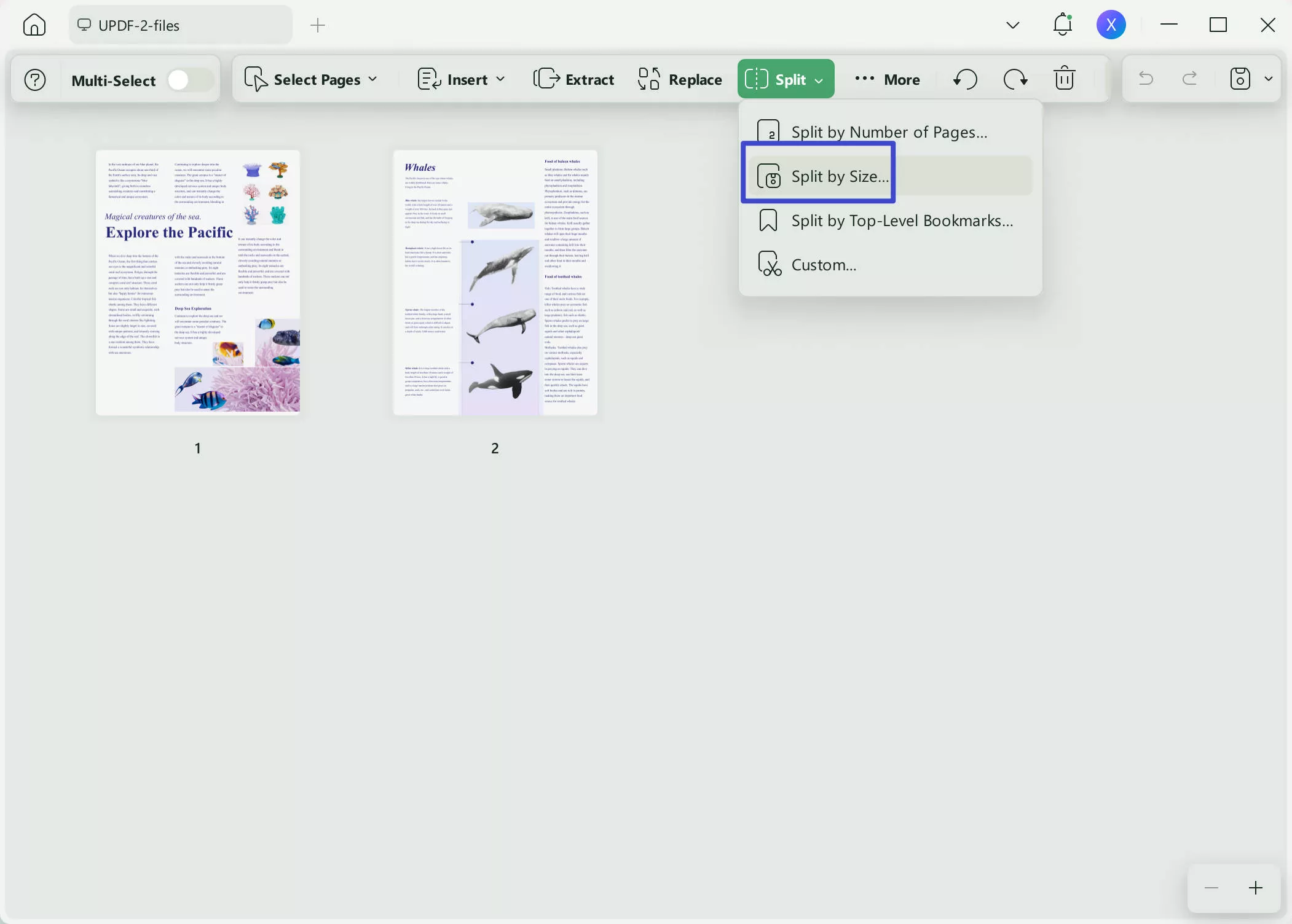 split pdf by size split by pages