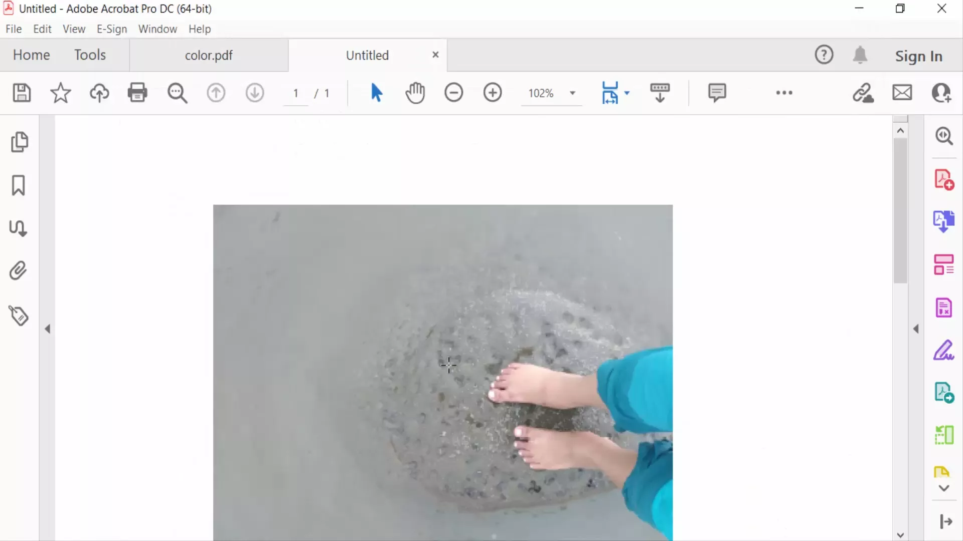 image extracted from PDF with Adobe Acrobat