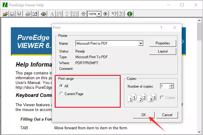 select the page range and click OK to convert XFDL with pureedge