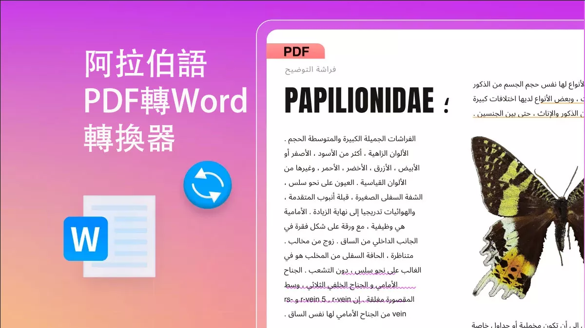 2025年推出的5款最佳阿拉伯語PDF轉Word的轉換器