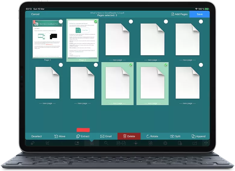 organize pages in goodreader