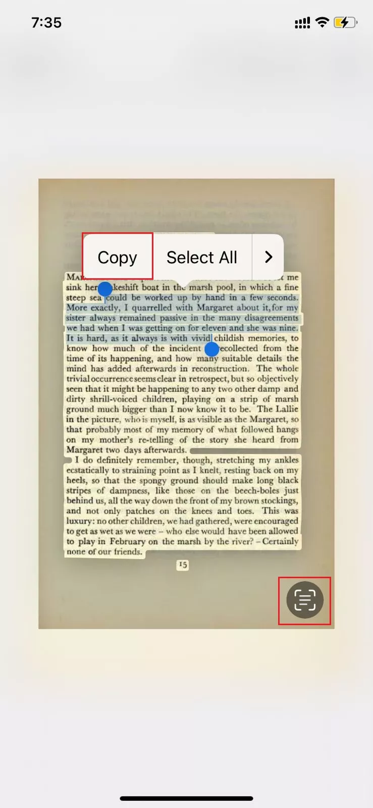 click the scanner button and select the text in updf for ios