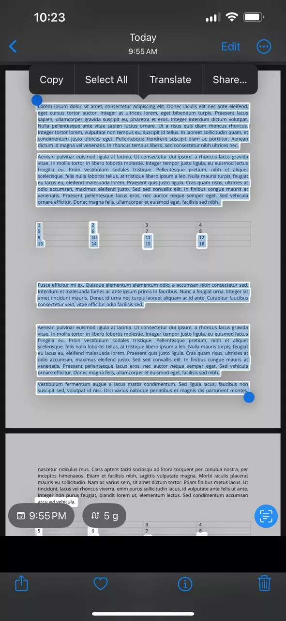 copy selected text in iphone