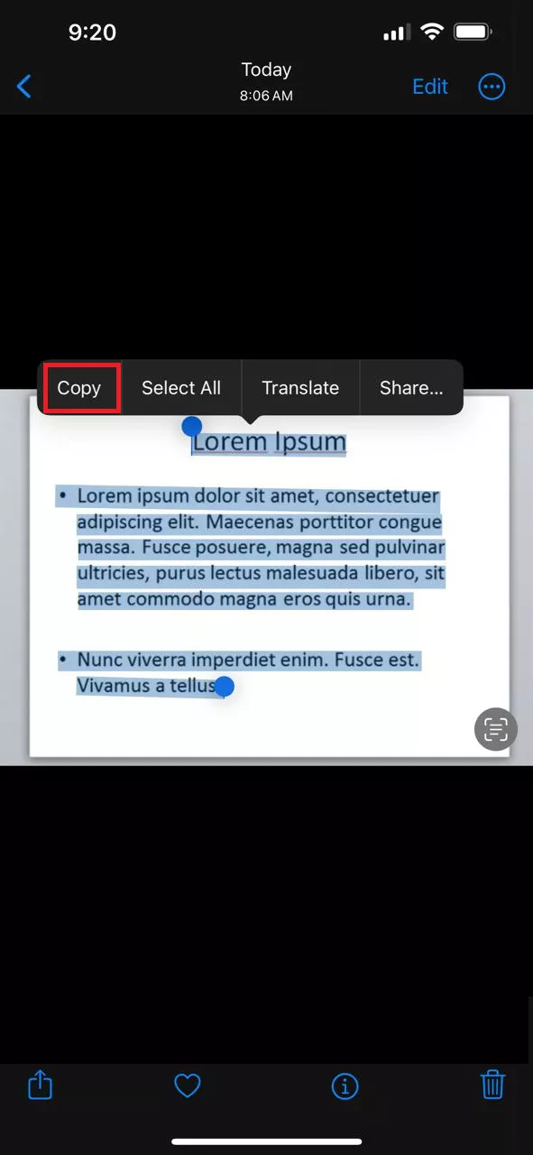 copy text from source in iphone