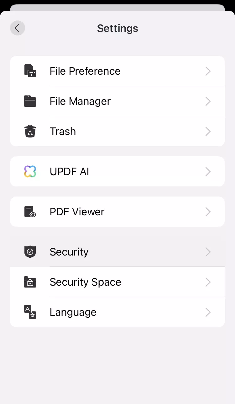 find security in updf for ios 2