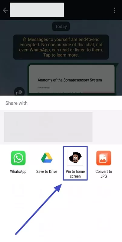select shorty app for sharing