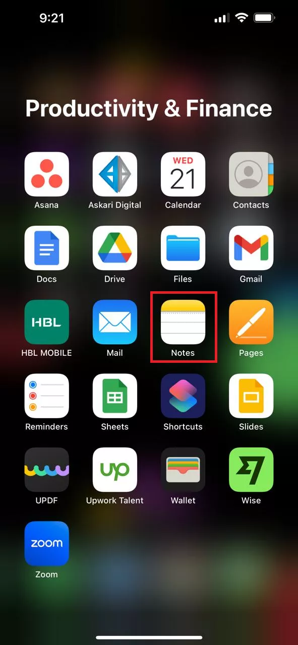 paste text in notes app in iPhone 1