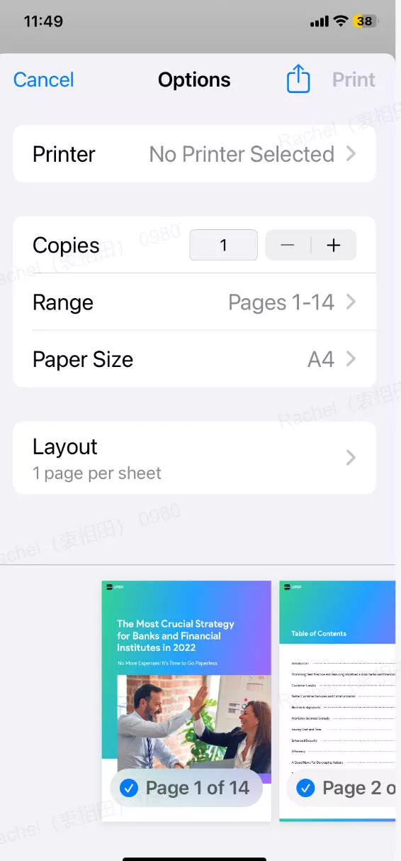 Print pages from PDF with UPDF for iOS