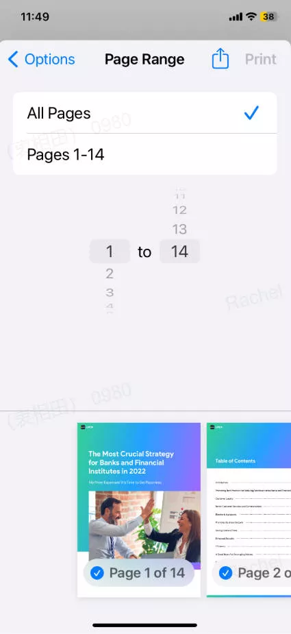 Select page range to print in UPDF for ios