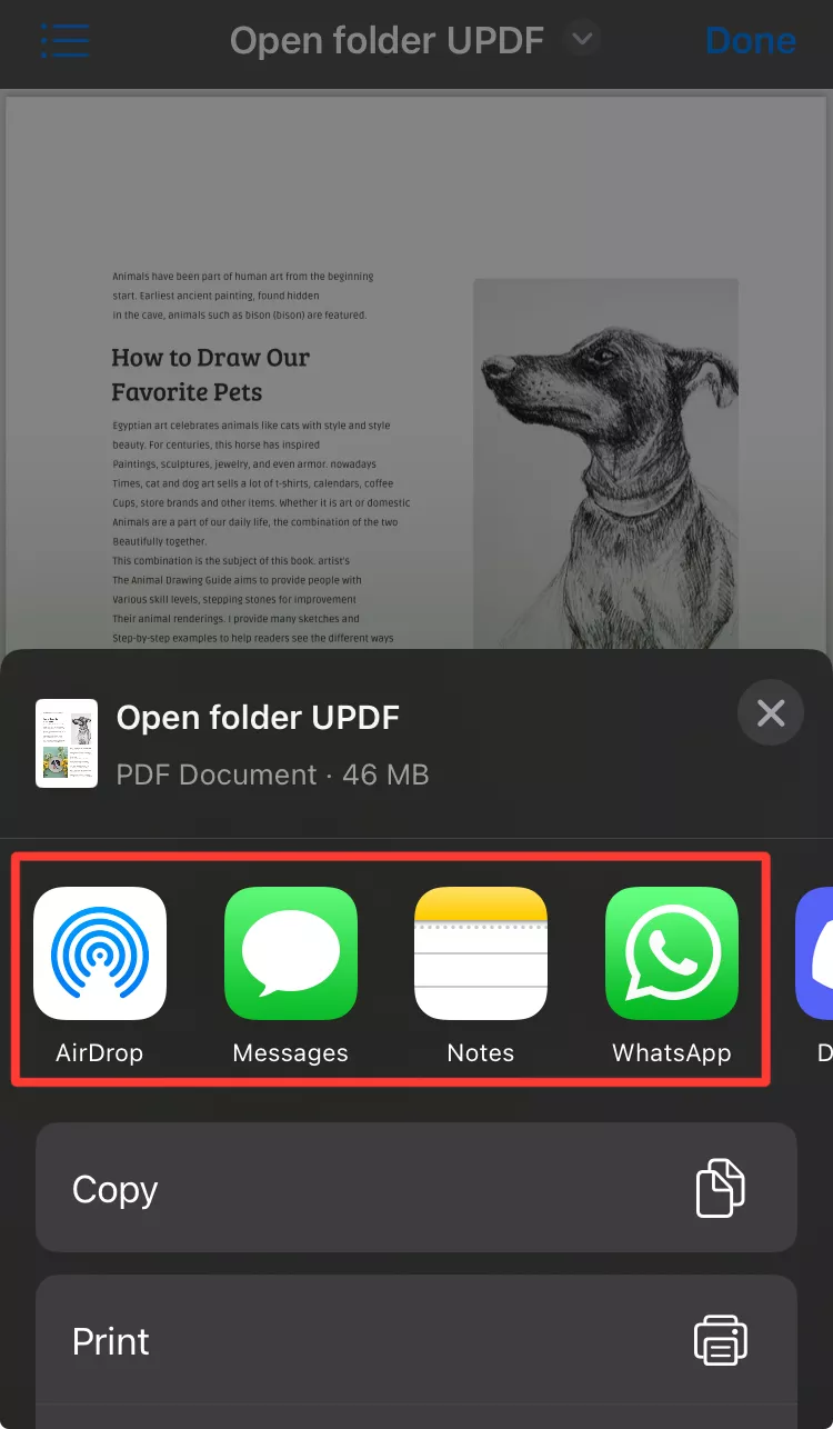 share PDF with iphone