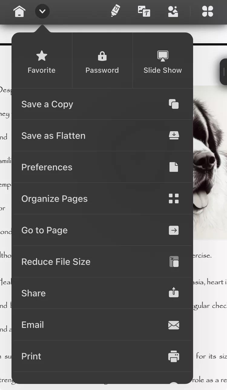 tap on the print icon in updf for ios