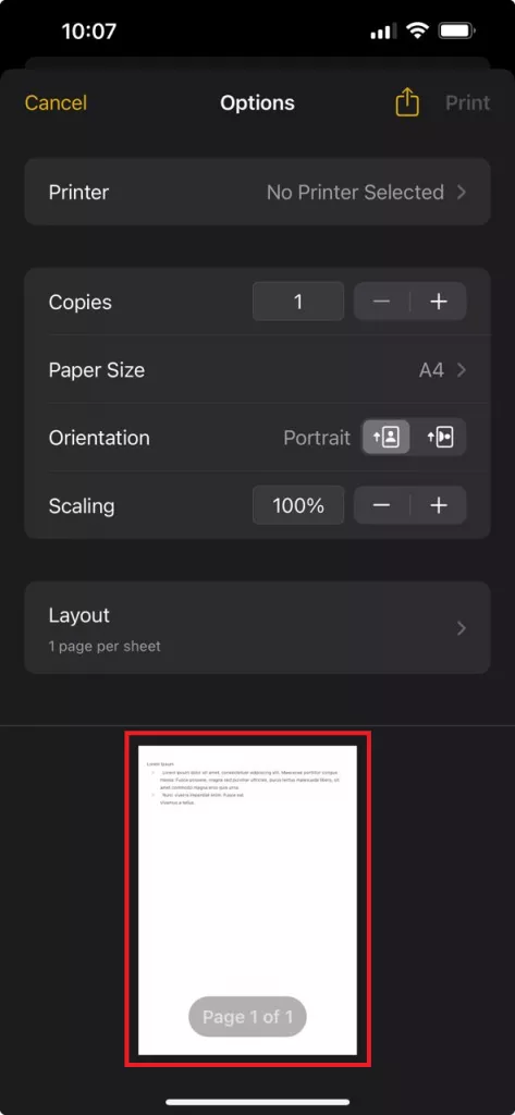 zoom preview to full screen and tap share in iPhone 1