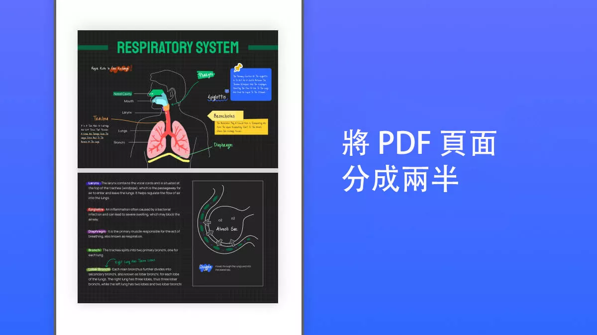 4 種將 PDF 頁面分成兩半的方法
