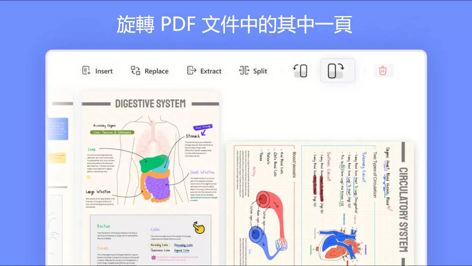 如何旋轉 PDF 文件中的其中一頁？