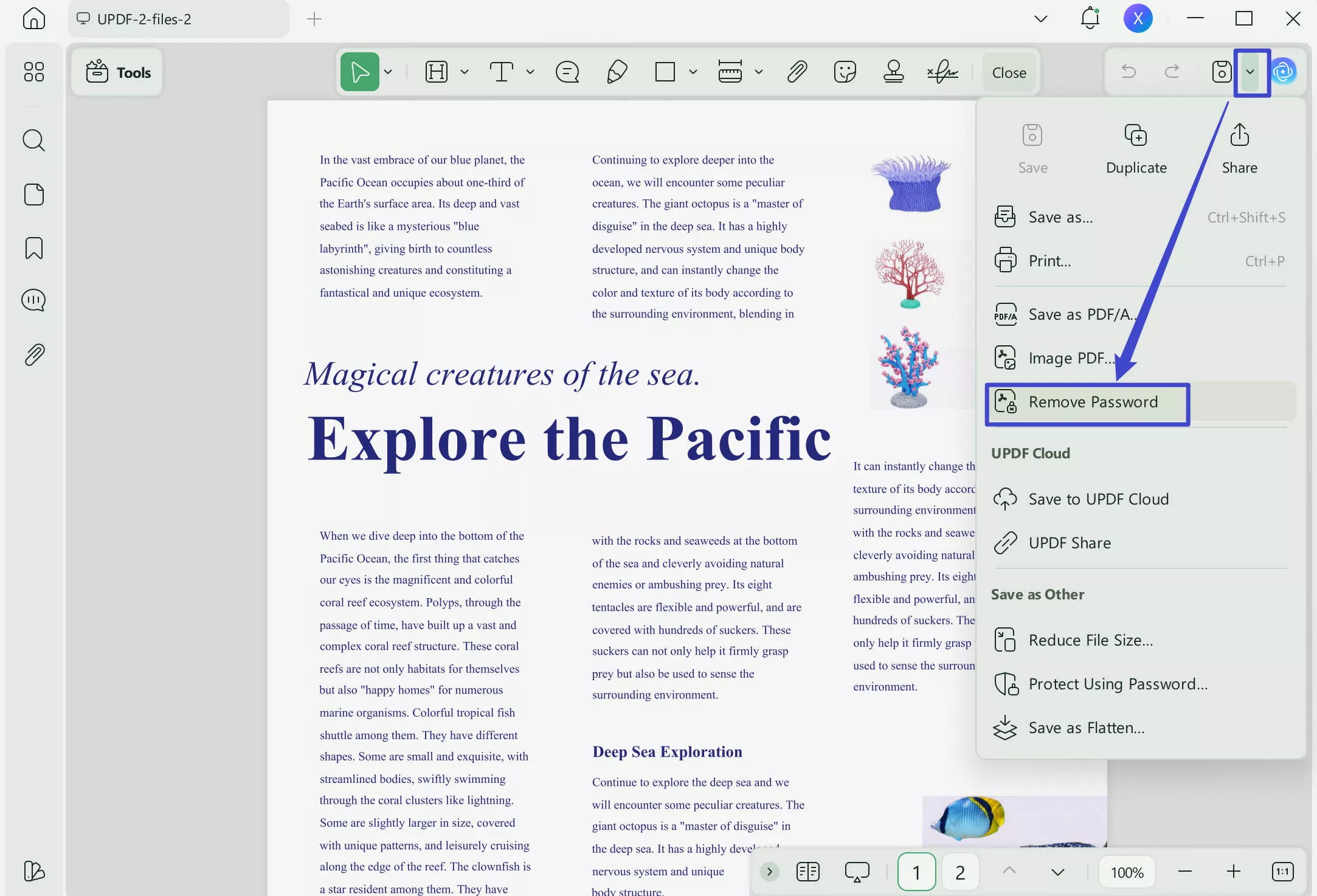 proceed to remove password pdf