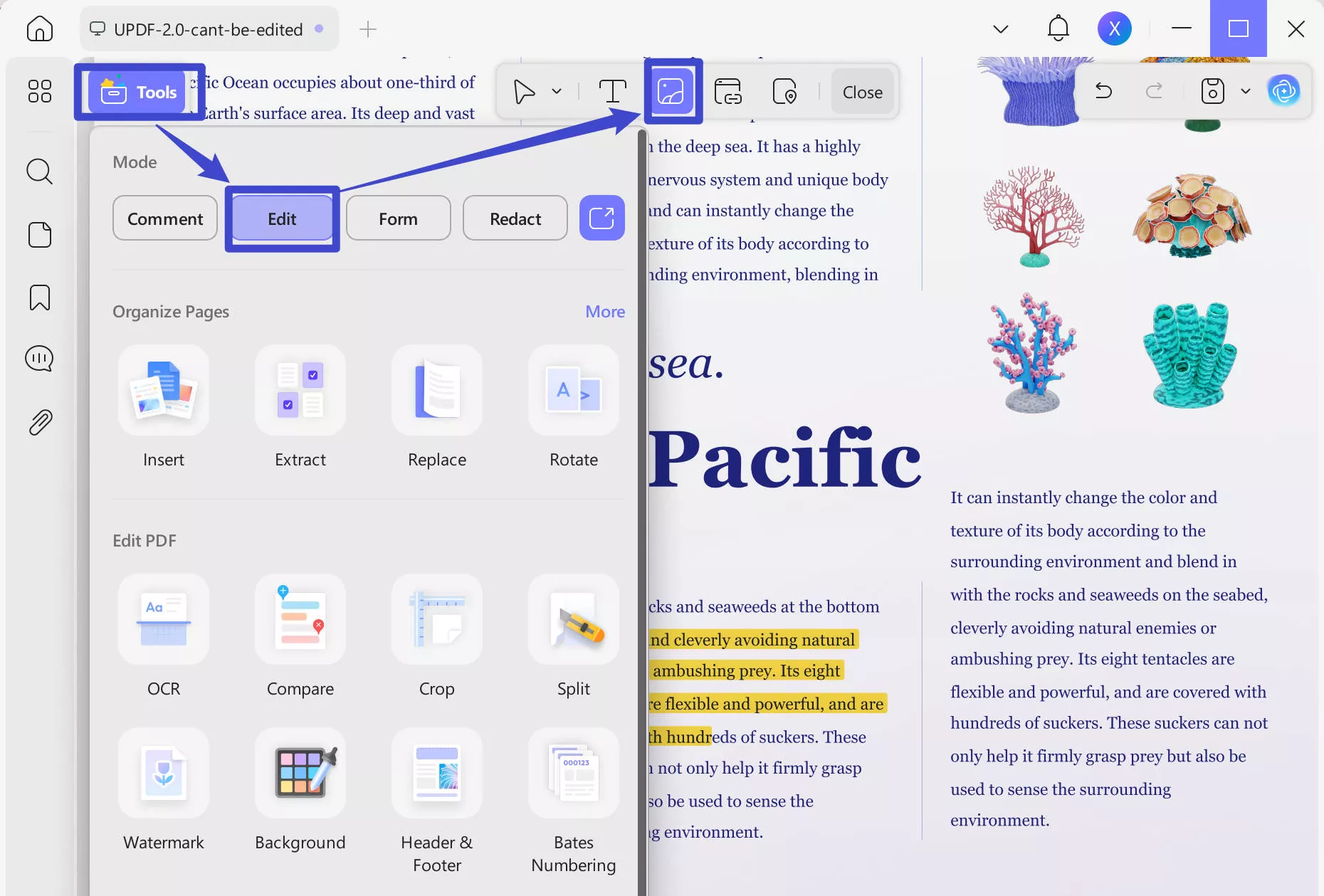 press edit pdf icon