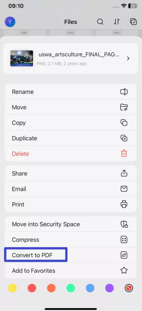 convert to PDF