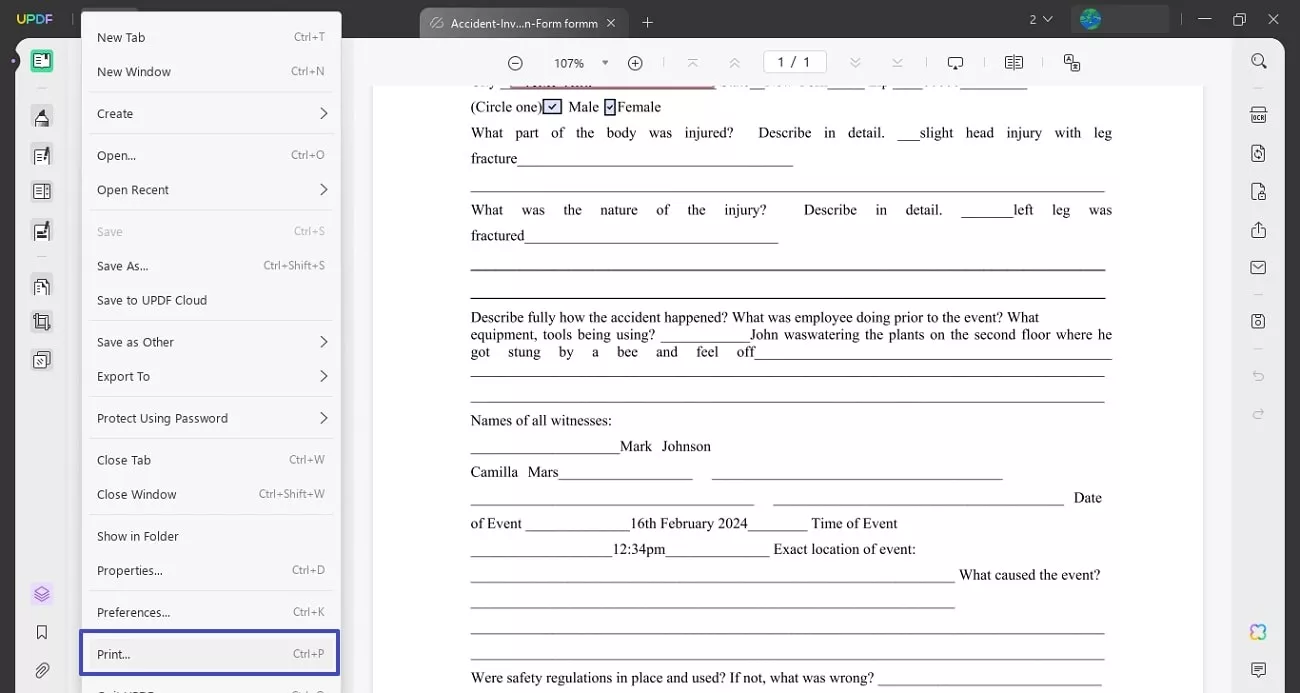 access print option