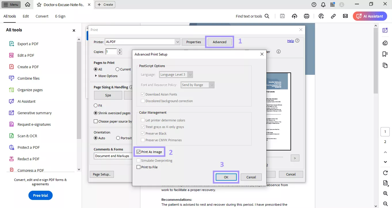 enable the adobe print as image option
