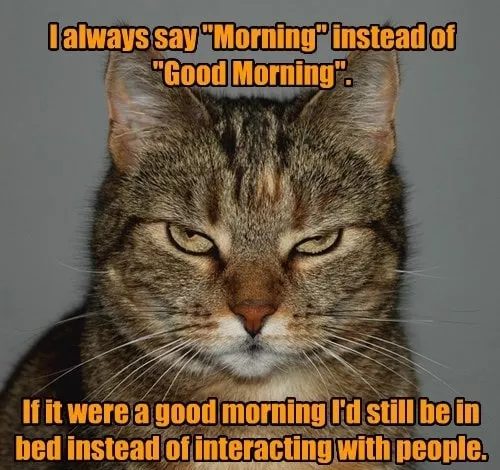 always in bad mood meme