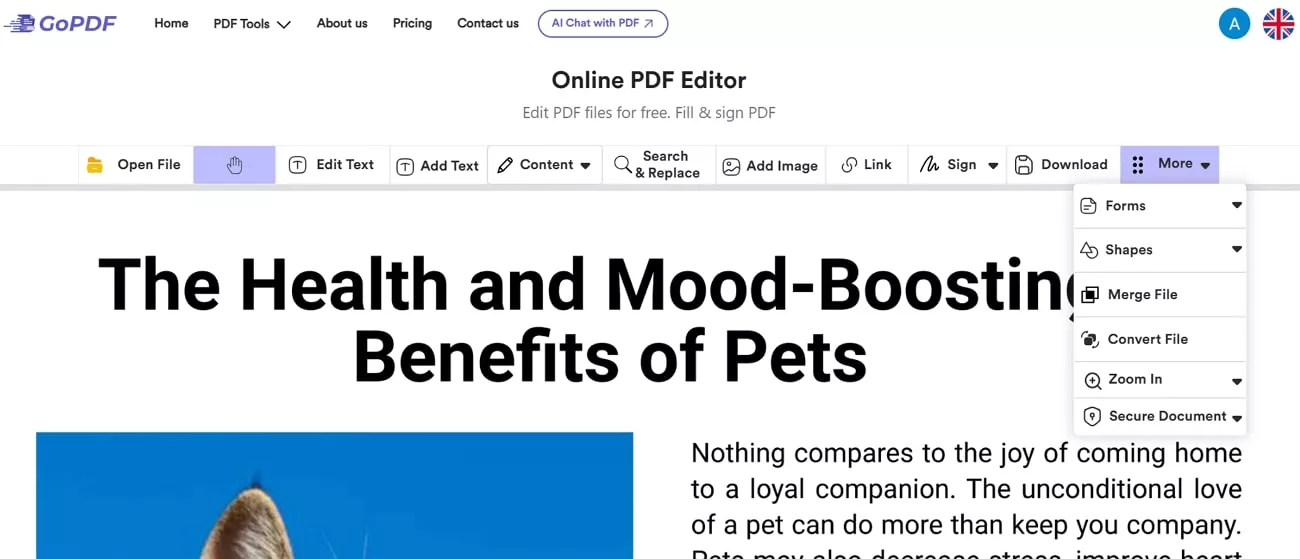 GoPDF interface