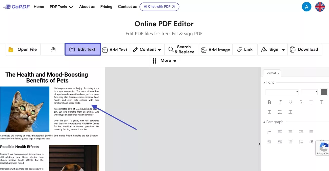 GoPDF interface