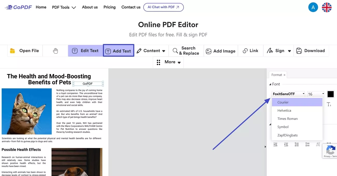 GoPDF interface