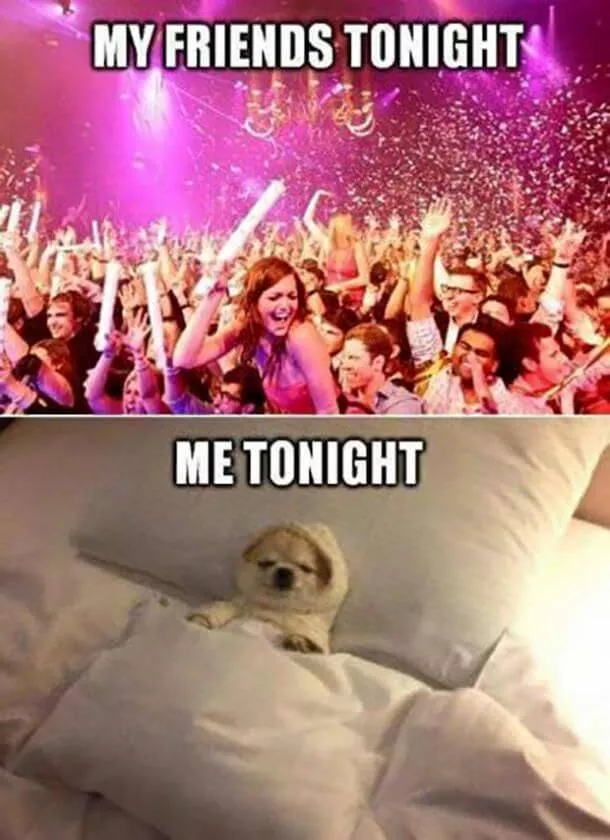 happy new year meme 4