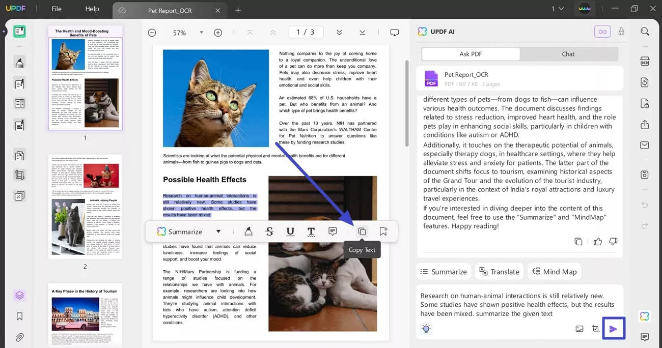 copy text and enter prompt for summarization