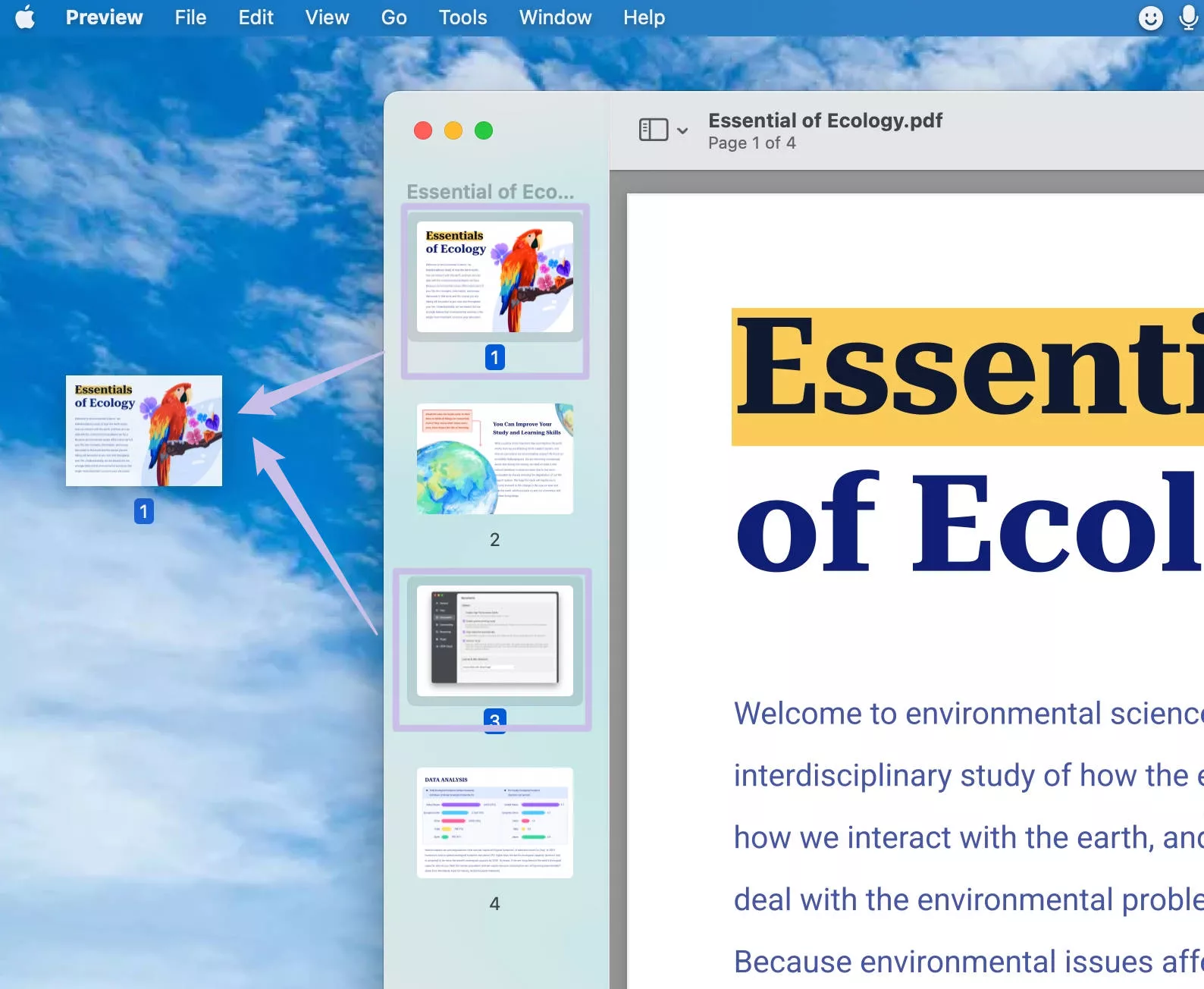 drag all the selected PDF pages to desktop mac
