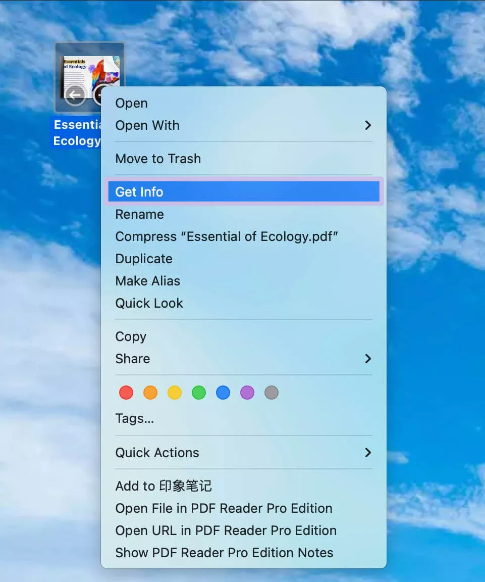 get info mac