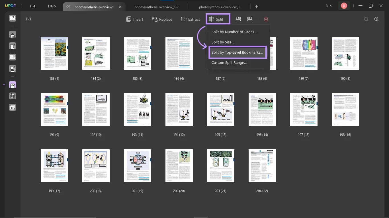split by top level bookmarks updf mac