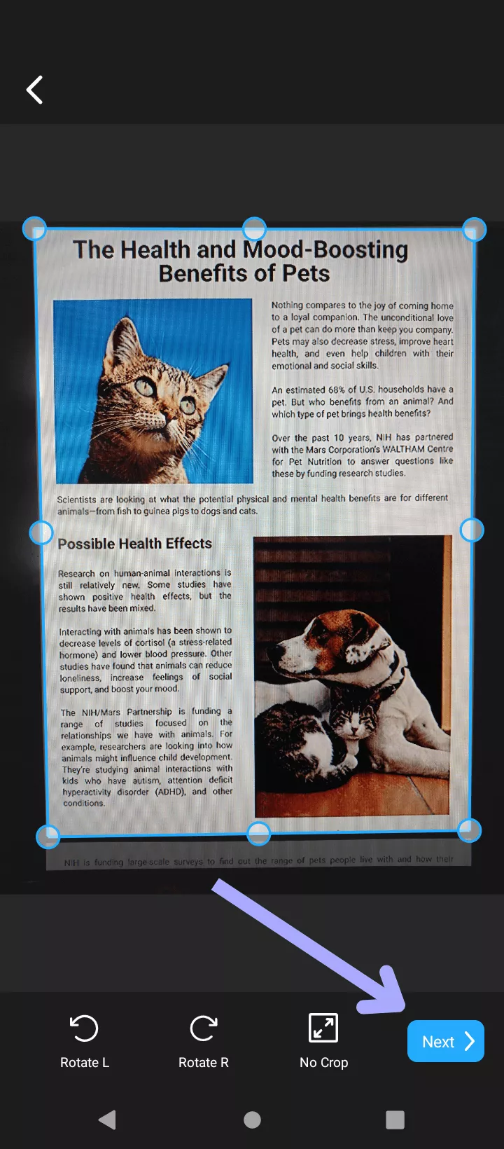 adjust in pdf scanner