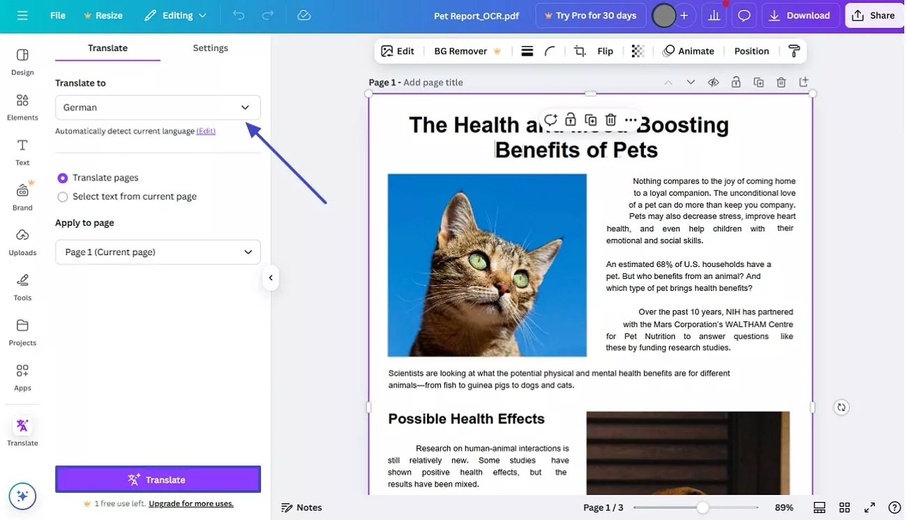 perform pdf translation canva