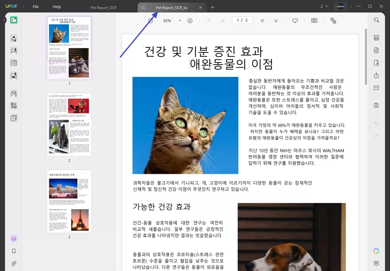 save translated pdf and open