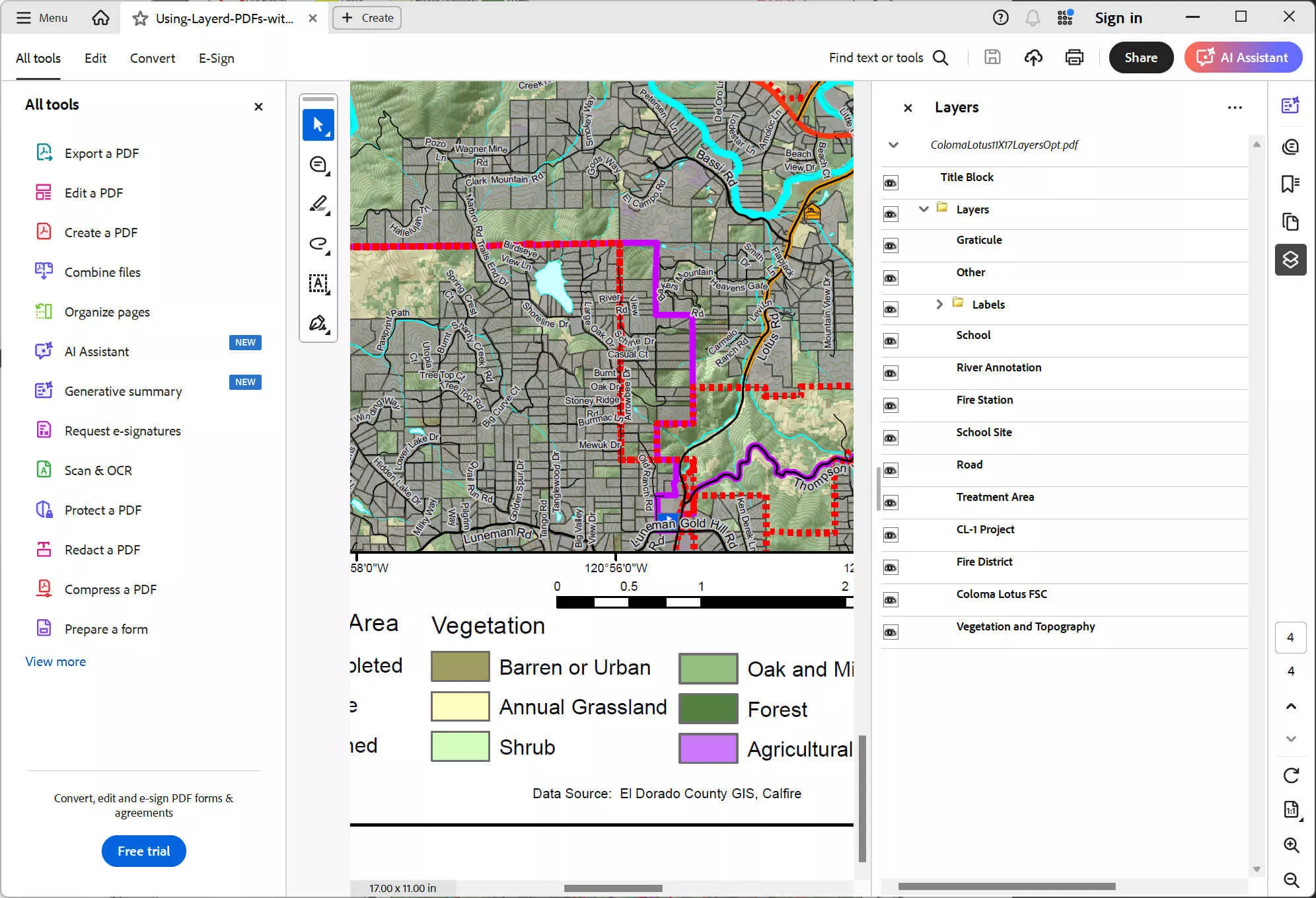 layer for PDF