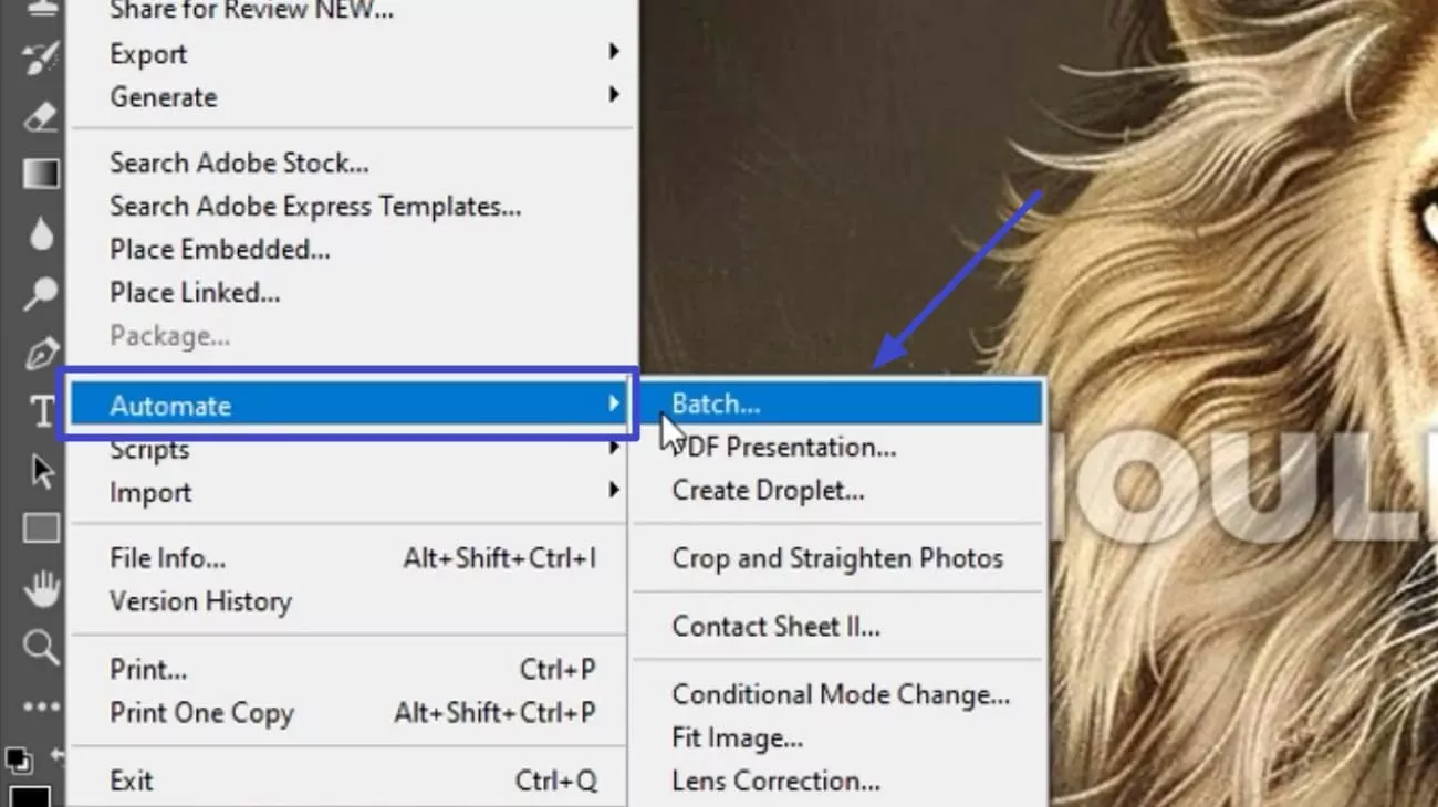 locate automate and hit batch option