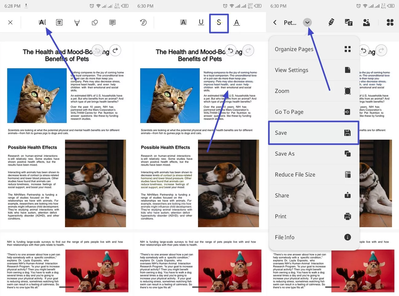 strikeout text and save pdf